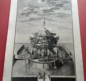 Johann Georg 1697 1767 Gravure 1735 - Picture 1 of 4