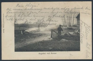 DENMARK. Aagabet ved Arresø (PC123) - Picture 1 of 2