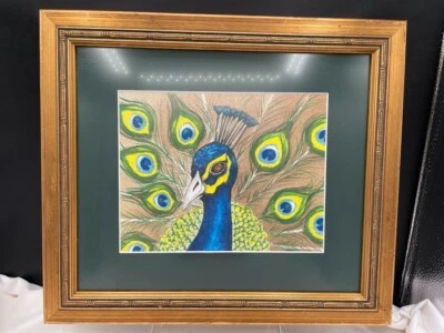 Arte de pared enmarcado pavo real retrato bolígrafo lápiz lápiz de color no firmado bajo vidrio Foto 1 de 4