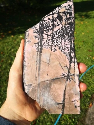 Pink Rhodonite New Zealand large slab stone cabbing lapidary carving - Image 1 of 4
