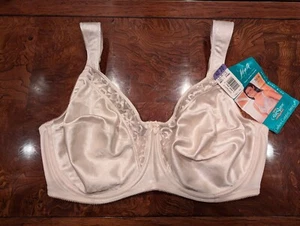 Vintage NWT Lilyette Right Support 0911 Underwire Full Figure Bra In Fawn 40 DD - Picture 1 of 13