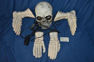 Vintage Skull Skeleton Halloween Light Up Decoration Decor 2003 - Picture 1 of 7