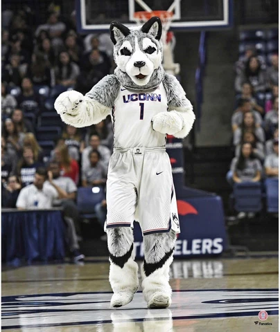 UConn Huskies Unsigned Jonathan the Husky Dancing Photograph Cover