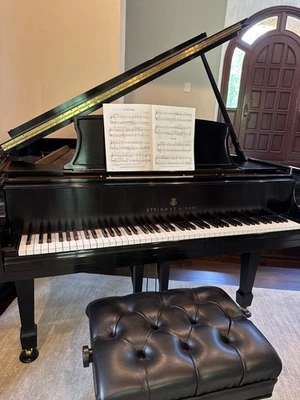 Piano Steinway & Sons - Modelo L 2004 Baby Grand Foto 1 de 4