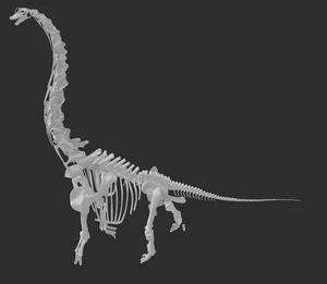 3d printed Brachiosaurus dinosaur model dinosaur Jurassic Replica 1:13 - Picture 1 of 5