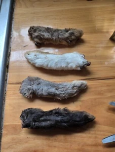 Dehydrated Rabbit Feet Dog Treats 4 ct Large - Picture 1 of 2