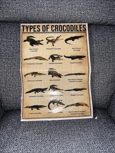 Arten von Krokodilen Wissen Poster 12 x 17 Neu - Bild 1 von 1