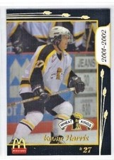 2001-02 Brandon Wheat Kings (WHL) Kevin Harris