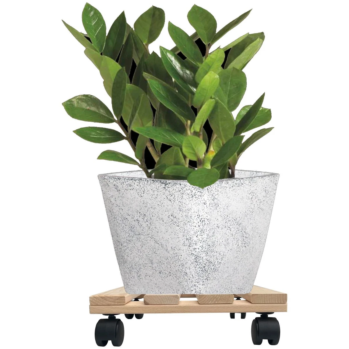Myuilor Blumentopf-Untersetzer Mit Rädern – 22,9 Cm Schwarz, Rollbarer Pflanzwagen Für Schwere Töpfe – Tragkraft 10 Kg, 360° Lenkbar
