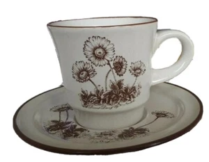 Noritake Desert Flowers brown and gray cactus floral cup and saucer, 6 available - Picture 1 of 3