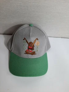 Disney Moana Hat Baseball Snapback Adjustable Cap Green Gray New - Bild 1 von 5