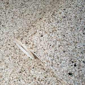 Beige Gold metallic Big Chip Natural Real Mica Stone textured Wallpaper Plain  - Picture 1 of 12