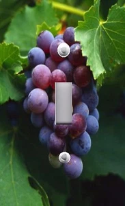 Light Switch Plate & Outlet Covers GRENACHE GRAPES ON THE VINE TUSCAN - Picture 1 of 26