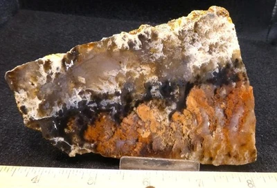 ORCA: Hermosa losa de ágata pluma Nyssa, Oregón Foto 1 de 4