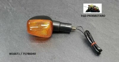 SUZUKI GSX 1400 2002/2007 Blinker Hinten Links Oder Vorne Rechts - Bild 1 von 3