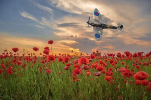 BBMF Spitfire over poppy field, canvas print various sizes free delivery - Picture 1 of 4