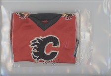 2007-08 Upper Deck Mini Jersey Collection Mini Jerseys Home Jarome Iginla HOF