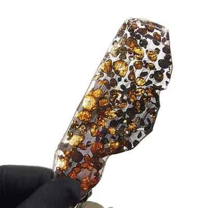 Rebanada de meteorito de palasita Seymchan 148 quilates de Rusia TA690 - Imagen 1 de 6