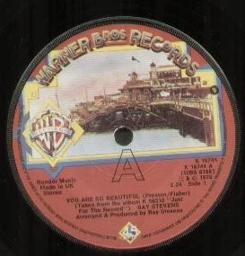 Ray Stevens You Are So Beautiful 7" vinyl UK Warner Bros 1976 solid label design - Image 1 of 2
