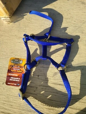 Halter Caballo Miniatura Talla Pequeña Azul ENVÍO GRATUITO Foto 1 de 3