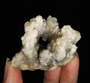AMAZING AMMONITES!! CHALCEDONY AGATE, FROM JAVA, INDONESIA, 47MM - Picture 1 of 8