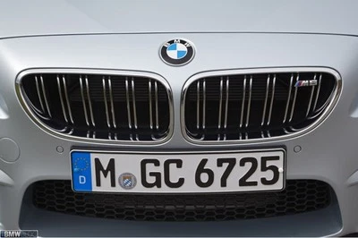 Parrilla delantera original BMW M6 + insignia emblema M6 F06 F12 F13 M6  Foto 1 de 4