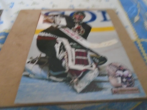NIKOLAI KHABIBULIN   POSTER  COLOR  8 x 11  INCHES PHOENIX COYOTES Cover