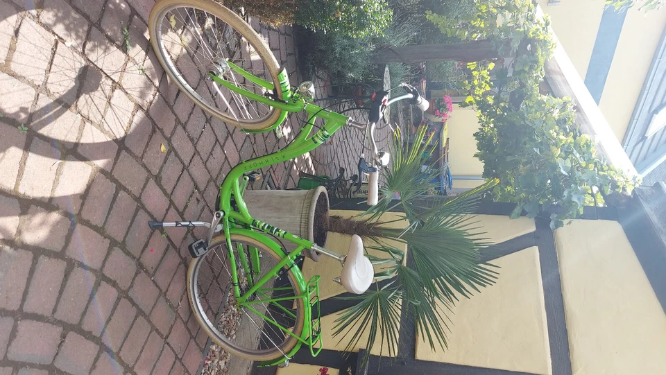 Damenfahrrad 28 zoll gebraucht - Bild 1 von 1