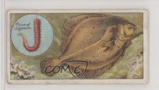 1924 ITC of Canada Fish & Bait Tobacco C11 The Dab #46 z6d