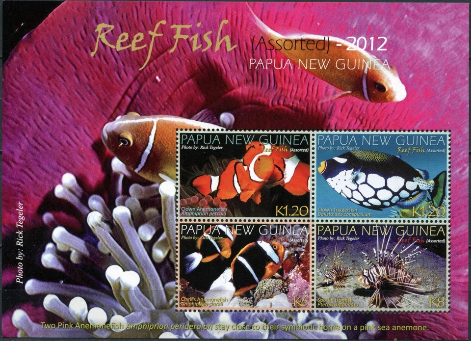 Papua New Guinea 2012. Reef Fish (MNH OG **) Miniature Sheet - Image 1 of 1