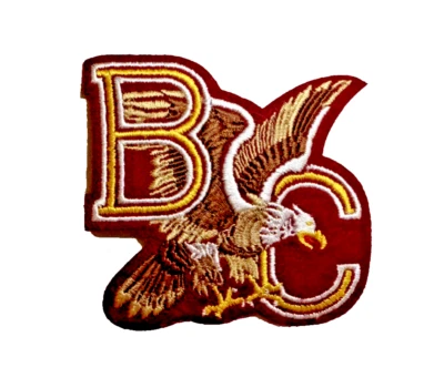 Parche bordado de hierro/coser con logotipo del equipo Boston College Eagles de 3 pulgadas Foto 1 de 3