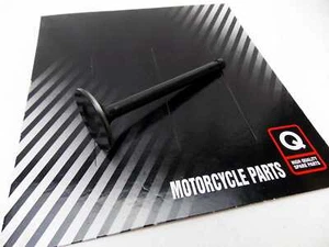 KAWASAKI Z1B 1975 FORSETI EXHAUST VALVE 12005-005 - Picture 1 of 3