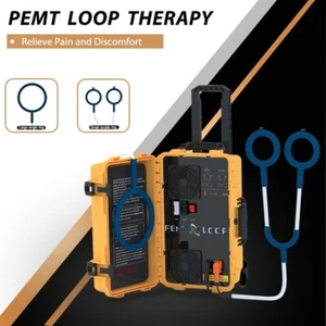 Pemf Electromagnetic Field Therapy PMST LOOP Body Pain Relief Therapy Machine - Picture 1 of 23