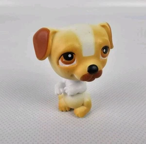 Hasbro Littlest Pet Shop #40: Authentischer gelb-weißer Jack Russel Terrier Hund - Bild 1 von 9