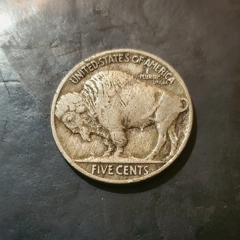 1915 Buffalo Nickel, Sharp Condition Cover