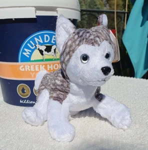 Retired TY BEANIE BABIES "MUKLUK" THE DOG MINT WITH MINT TAG - Picture 1 of 3