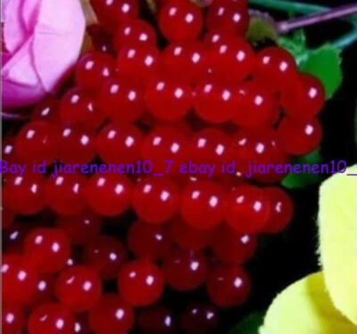 6mm Natural RARE Red Jade Round Loose Beads Gemstone 15" - Image 1 of 4