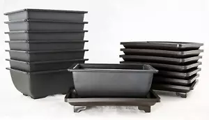 8 Sets Rectangular Plastic Shohin Bonsai Training Pot, Cactus & Succulent Plante - Picture 1 of 12
