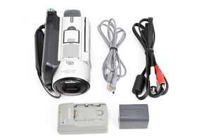 Near Mint - Sony Handycam DCR-SR100 30GB HDD Digital Camcorder Nightshot Japan - Picture 1 of 24