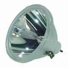 Jector Lamp Replacement For Philips Proscreen 4600 Endurance