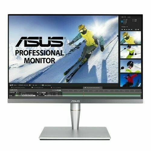 ASUS ProArt PA24AC 24.1 Zoll IPS LCD Monitor - Silber - 90LM04B0-B01370