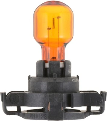 Turn Signal Light Bulb for Giulia, Stelvio, Transit+More PY24WNAC1 - Image 1 of 4