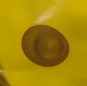Enhidro de agua con 3 Enhidros de burbuja de agua congelada en fósil de ámbar dominicano - Imagen 1 de 15