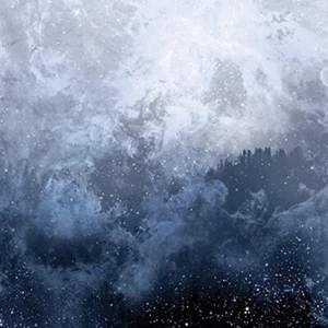 WOLVES IN THE THRONE ROOM - CELESTITE CD NEU - Bild 1 von 1