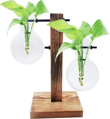 Florero bombilla maceta vidrio terrario planta de escritorio retro soporte de madera maciza y met Foto 1 de 4