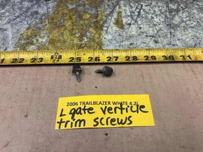 02-09 Trailblazer подъема ворота вертикальная отделка крышка винты комплект из 2 - Изображение 1 из 4