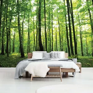 Wall Mural photo wallpaper Sunny Green Forest Scene approx. 366 x 254 cm Trees - Picture 1 of 9