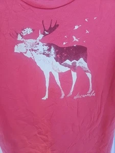 ABERCROMBIE Girls 92 T-SHIRT WITH NAME AND MOOSE LOGO ON THE FRONT XL. Y1 - Picture 1 of 4