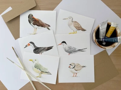 Juego de 6 tarjetas en blanco con sobres, ilustración de acuarela de aves costeras A2 Foto 1 de 4