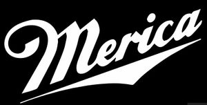 MERICA funny America USA Flag Vinyl Decal Sticker Car Truck Window Toolbox - Bild 1 von 2